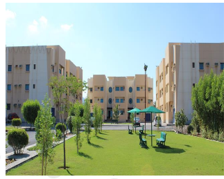 firdip image